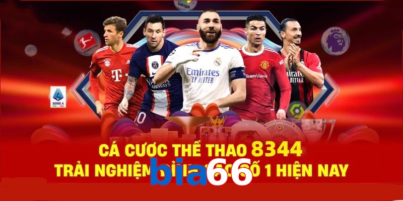 Đá Gà Philippines – Tinh Hoa Truyền Thống Và Thể Thao 